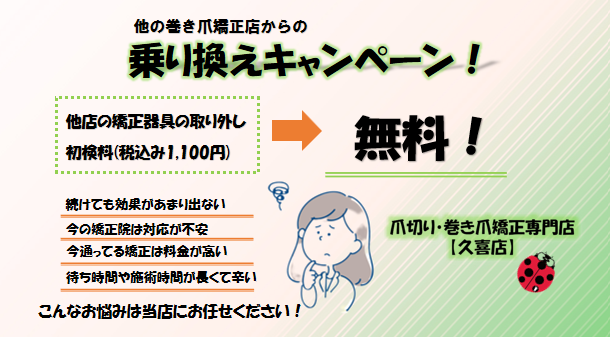 画像に alt 属性が指定されていません。ファイル名: %E3%82%B9%E3%82%AF%E3%83%AA%E3%83%BC%E3%83%B3%E3%82%B7%E3%83%A7%E3%83%83%E3%83%88-2024-01-12-115147.png